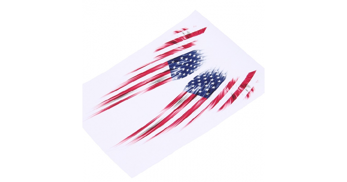 Motorcycle Tank & Luggage Flag Wings 