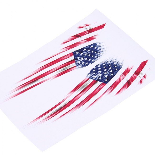 USA Flag Wings 