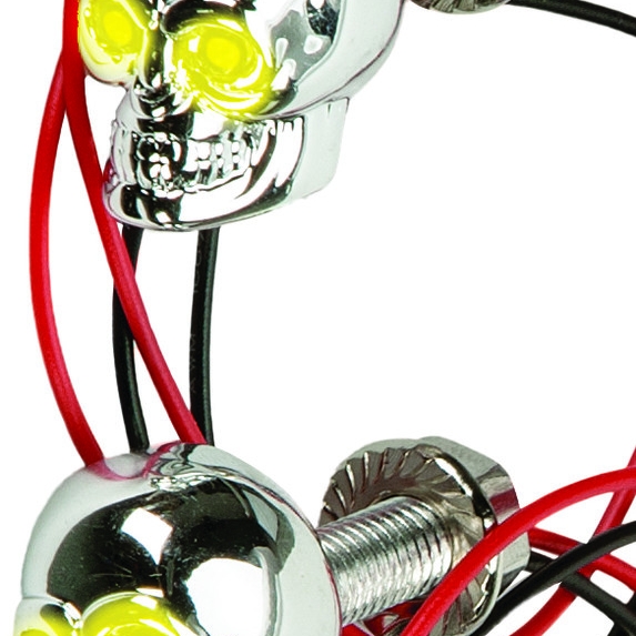 LED Lighted Skull Licenses Plate Bolts