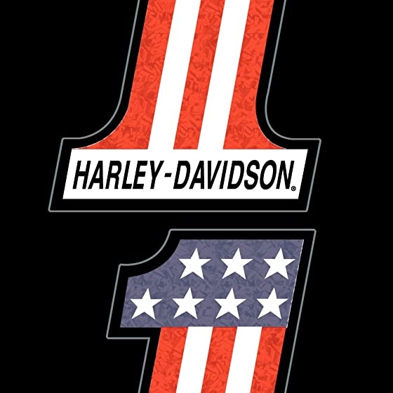 2 piece Harley-Davidson Holographic #1 Decal